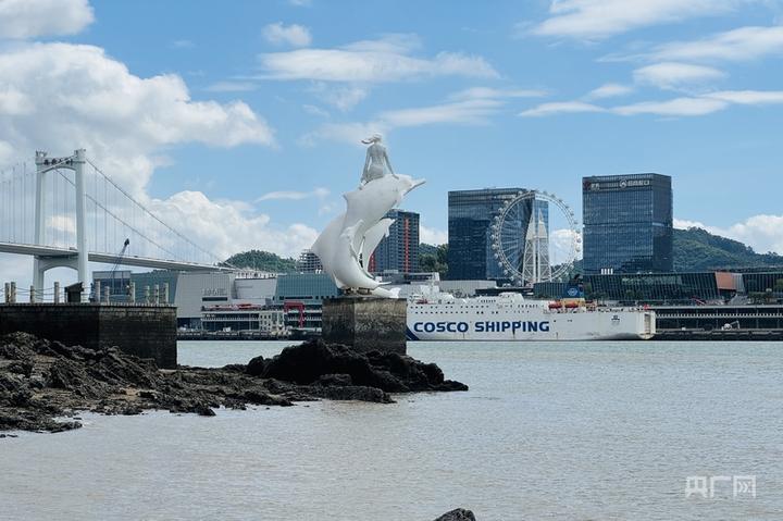何以中国·青绿人间 | 倾情呵护中华白海豚 城海山共拥碧水蓝天