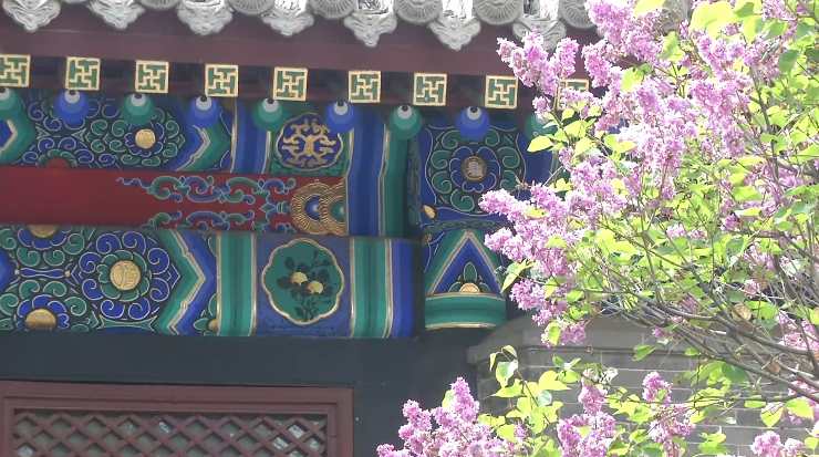 1683702527186330.png 640 (3).png