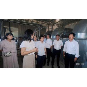土右旗：“擂台”摆在田垄上