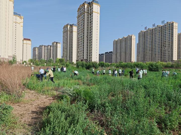 昆都仑区：每一片新绿都是城市更新的注脚