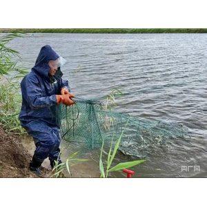 能养南美对虾 还要养江苏螃蟹!临河区这片盐碱地渐成“聚宝盆”