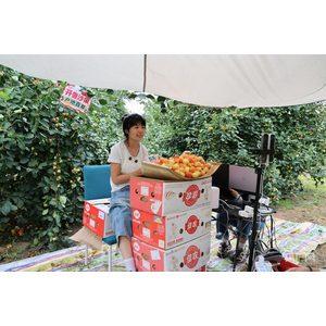乡村振兴看内蒙古丨“云”端发力 小果子走向大市场