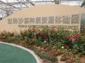 扎根沙漠30年:在大漠撰写绿色中国梦
